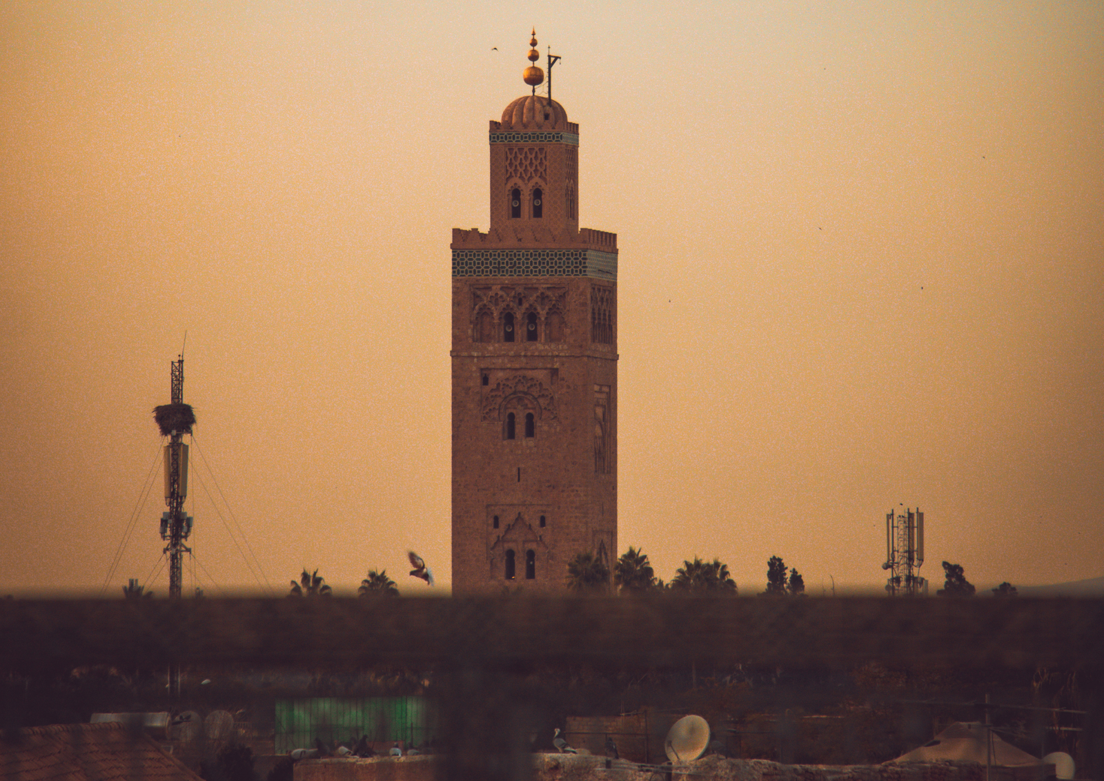 8 Days Imperial Cities via Desert